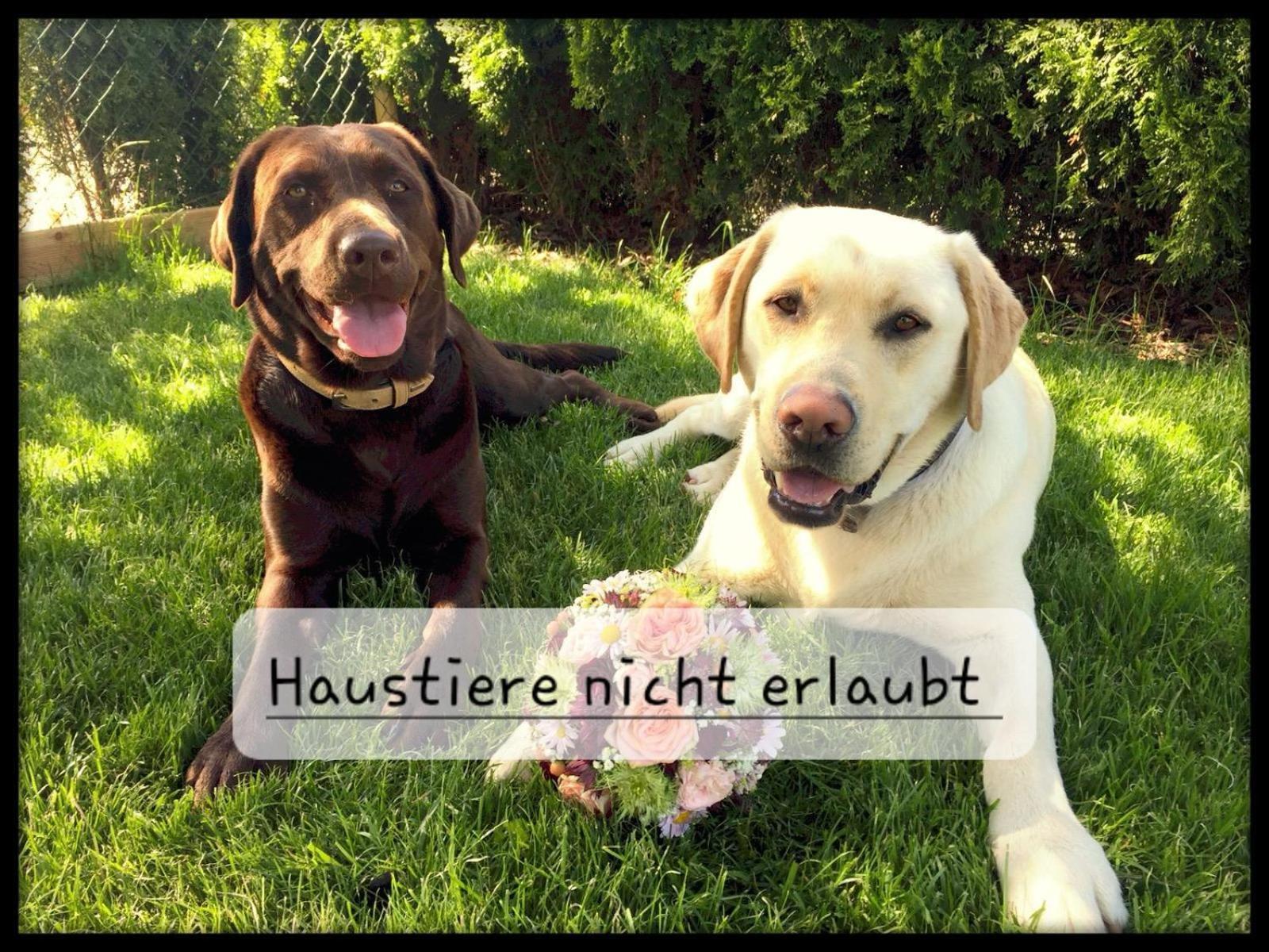 Apartment Zettler Buxheim  ภายนอก รูปภาพ